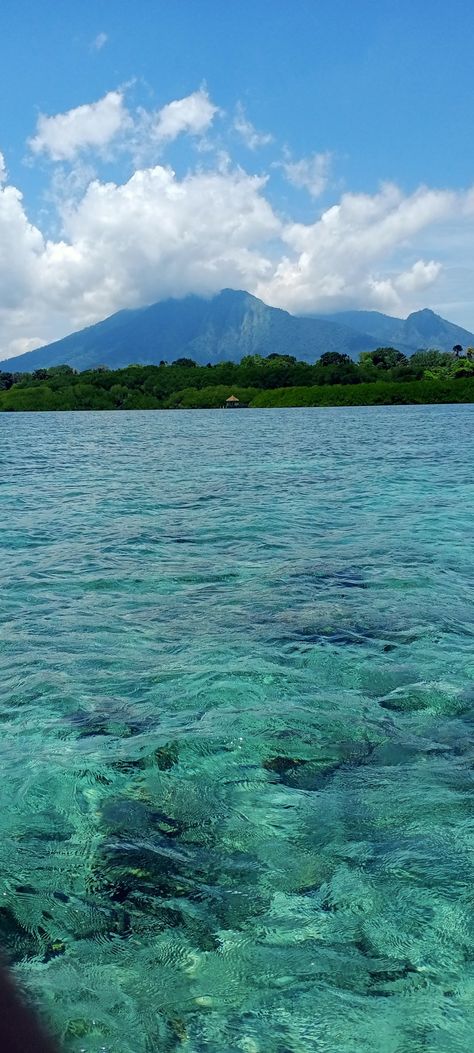 I took this photo when I was in Baluran National Park in situbondo. I mean, Look how beautiful and how clear the sea water is Baluran National Park, Sea Water, How Beautiful, The Sea, National Park, Places To Visit, National Parks, Natural Landmarks, Water