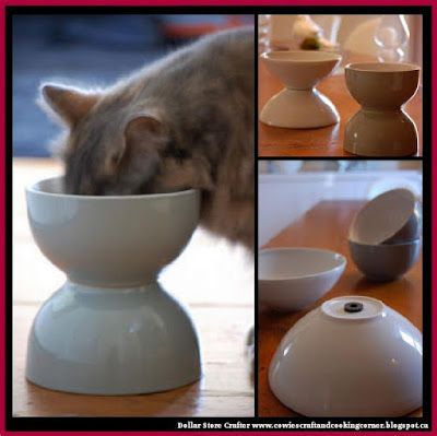 Dollar Tree Bowls, Pet Diy Projects, Diy Cat Food, Cat Food Dish, Cat Fence, Tree Cat, Cat Dishes, Cat Food Bowl, Cat Hacks