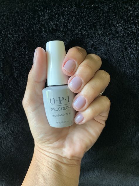 Soft sheer grays meets soft lilac. Perfect neutral for any occasion! 🥰 Sheer Lilac Nails, Sheer Lavender Nails, Lavender Nail Polish, Neutral Polish, Face Nails, Neutral Nail, Sheer Nails, Lilac Nails, Lavender Nails