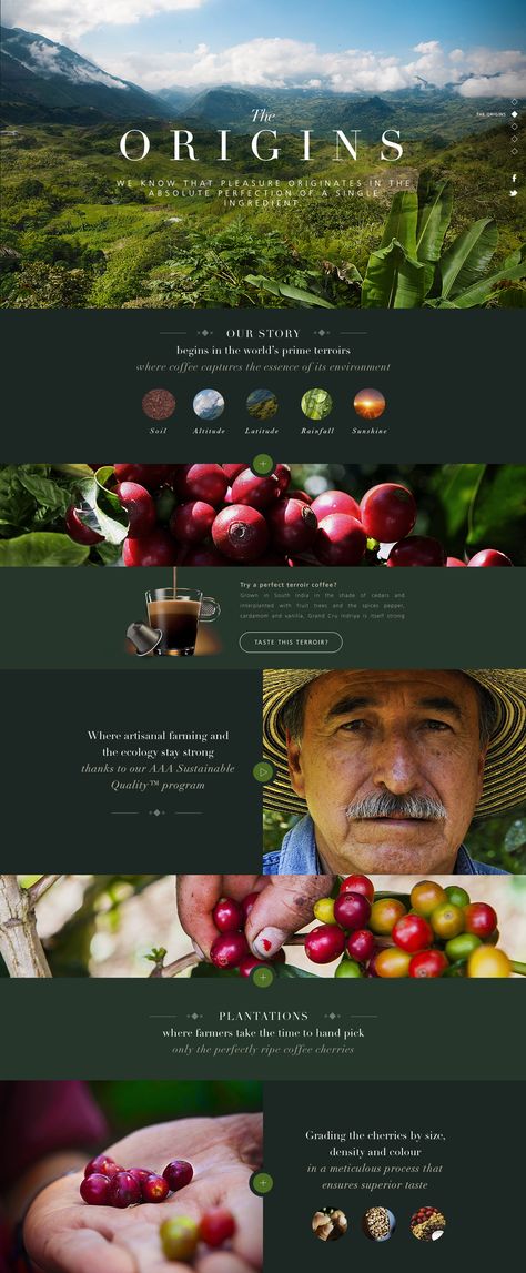 Cool Website Design Layout, Graphic Website Design, Mailing Design Inspiration, Main Page Design, Cool Website Design, Creative Website Design Inspiration, Web Design Ideas, Ui Web Design, Website Design Ideas