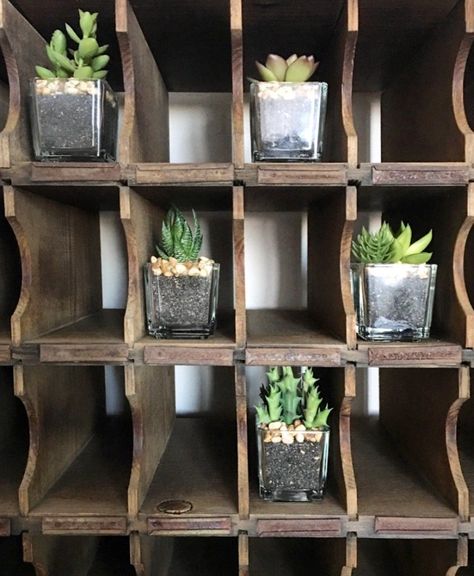 vintage mail sorter succulents Future Farmhouse, Vintage Mail, Mailbox Ideas, Mail Sorter, Shop Window Design, Beautiful Spaces, Shop Plans, Woodworking Ideas, Dog Snacks