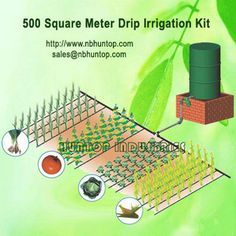 Drip irrigation system with water barrel Drip Irrigation System Design, Drip Line Irrigation, Studio Sheds, Planting Hacks, Garden Watering System, Drip Irrigation Kit, Water Barrel, Garden Tags, Drip System