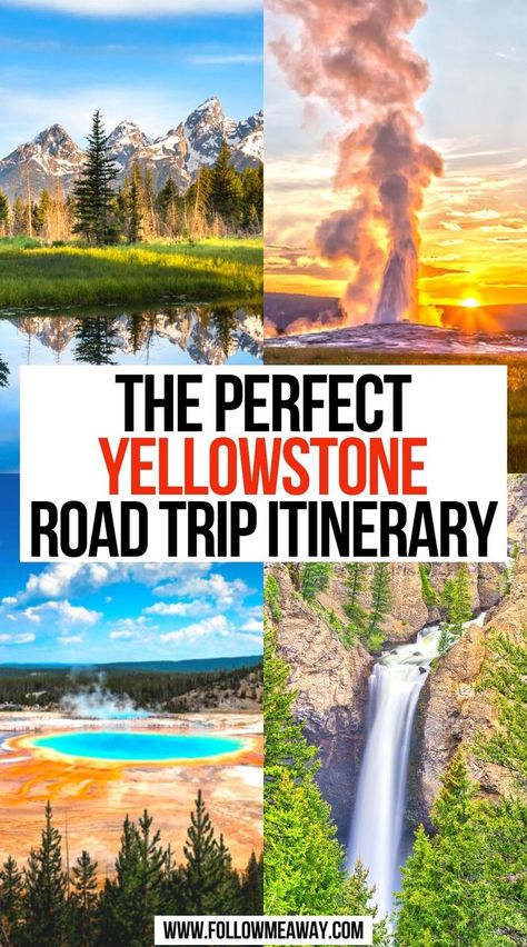 The Perfect Yellowstone Road Trip Itinerary Yellowstone Vacation Planning, Yellowstone Road Trip, Yellowstone Itinerary, Yellowstone Map, Yellowstone National Park Vacation, Wyoming Vacation, Yellowstone Vacation, Montana Vacation, Yellowstone Camping