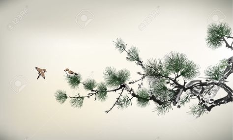 Japanese Pine Tree, Cedar Branch, Cranes In The Sky, Tree Branch Tattoo, Chinese Plants, Pine Tree Art, Japanese Ink Painting, Chinese Drawings, Gold Art Painting