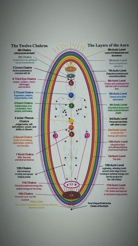 13 Chakras, 12 Chakras, Chakra For Beginners, Beautiful Spine Tattoos, Aura Colors Meaning, Align Your Chakras, Spine Tattoo Ideas, Chakra Healing Meditation, Animal Tattoo Ideas