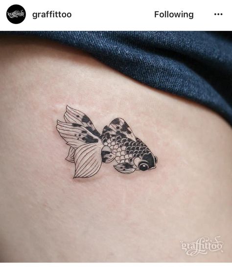 Coy Fish Tattoos, Goldfish Tattoo, Korea Tattoo, Tattoo Wallpaper, Wanderlust Tattoo, Koi Tattoo, Koi Fish Tattoo, Shark Tattoos, Fish Tattoo