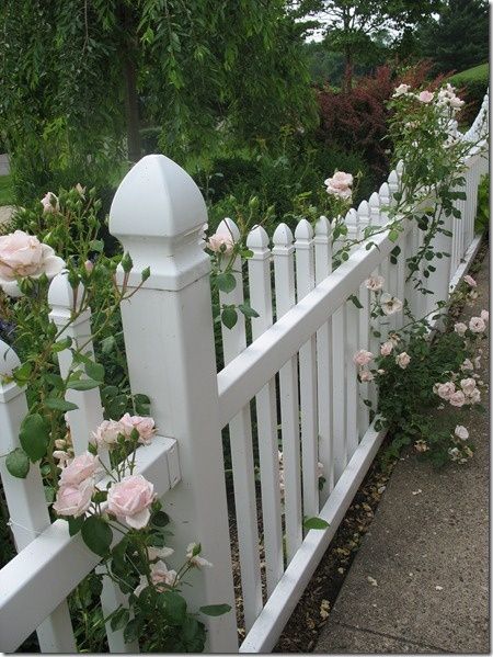 Fence Planters, Natural Fence, Living Fence, Fencing Ideas, Front Fence, Concrete Fence, White Fence, Brick Fence, Modern Country Style