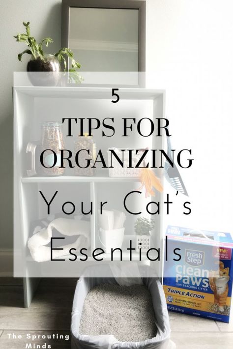 5 Tips for Organizing Your Cat's Essentials - The Sprouting Minds Kitten Organization Ideas, Organize Cat Supplies, Organizing Cat Supplies, Cat Stuff Organization, Cat Supplies Organization, Cat House Indoor Ideas, Cat Essentials Aesthetic, Cat Things For Home, Cat Organization Ideas