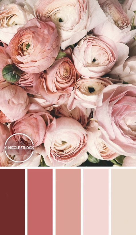 Floral Color Palette, Nursery Color Scheme, Deep Autumn Color Palette, Color Schemes Colour Palettes, Dark Autumn, Color Palette Pink, Warm Colour Palette, Fall Color Palette, Color Palate