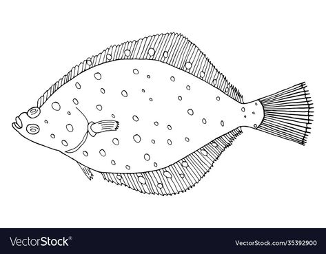 Flounder Fish, Flounder Fishing, Black And White Vector, Fish Drawings, Transparent Png, Print On Demand, White Background, Hand Drawn, Vector Images