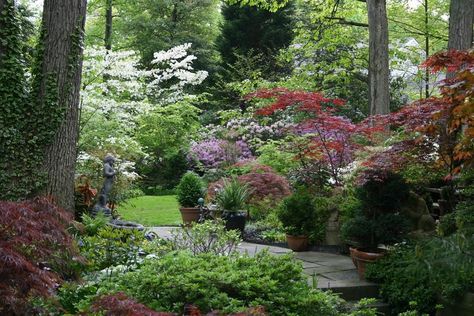 Magical Woodland Garden - Traditional - Landscape - DC Metro - by Merrifield Garden Center | Houzz Sloped Front Yard, Japanese Maple Garden, Japanese Inspired Garden, Diy Garden Trellis, Magical Woodland, Japanese Maples, Dc Metro, Backyard Inspiration, Traditional Landscape