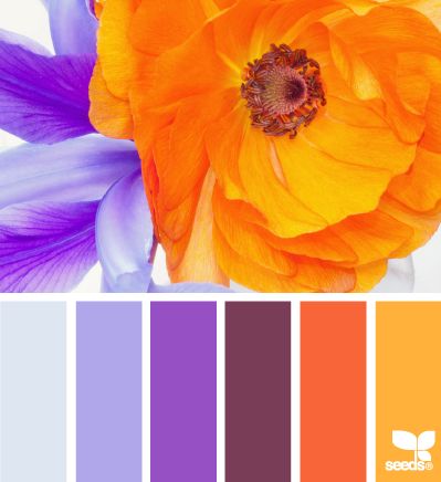 Purple and orange Deco Pastel, Seeds Color, House Color Schemes, Orange Design, Design Seeds, World Of Color, Colour Schemes, Color Of Life, Color Pallets