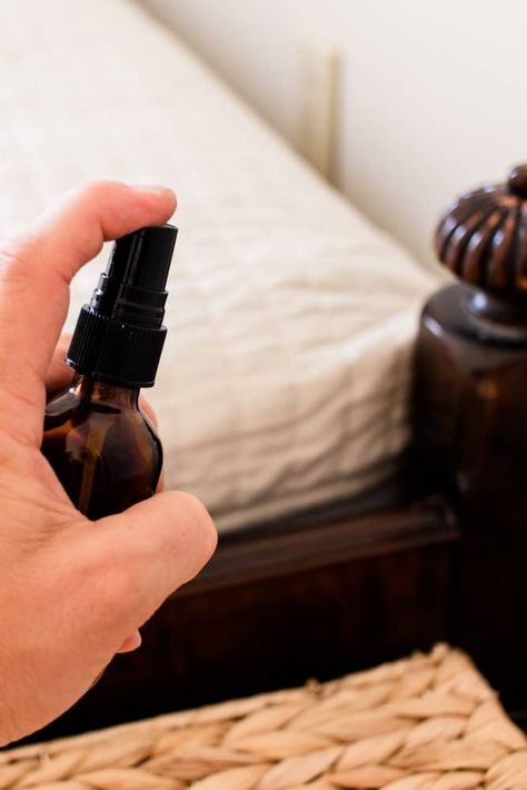 Essential Oil For Bed Bugs, Natural Bed Bug Spray, Essential Oil Bed Bug Spray, Bed Bug Spray Essential Oils Diy, Bed Bug Spray Essential Oils, Diy Bed Bug Spray, Killing Bed Bugs, Bed Bugs Essential Oils, Essential Oils Ants