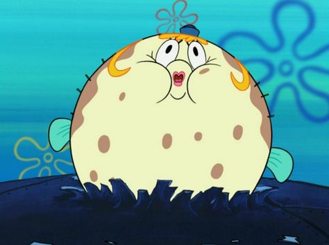 Ms Puff Spongebob, Miss Puff Spongebob, Mrs Puff Spongebob, Trippy Spongebob, Spongebob Images, Mrs Puff, Spongebob Painting, Phone Aesthetic, Sponge Bob