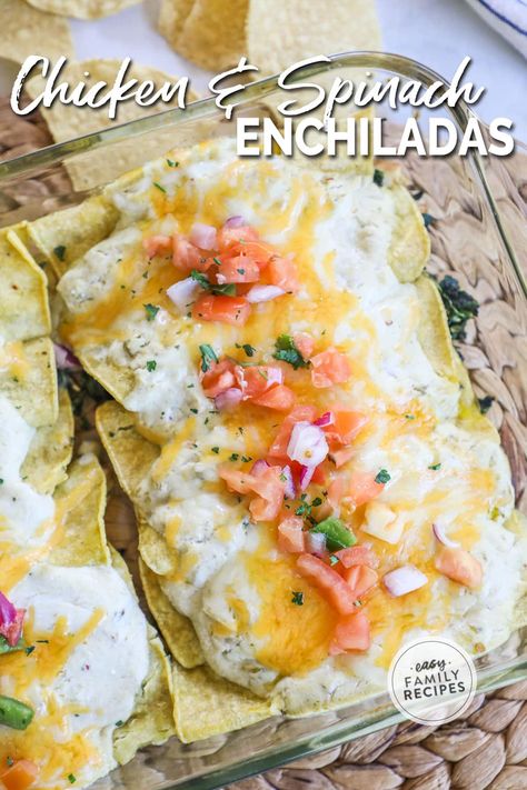 Chicken Spinach Enchiladas, Chicken And Spinach Enchiladas, Enchiladas With Sour Cream Sauce, Enchiladas With Green Sauce, Creamy Green Sauce, 15 Minute Chicken, Asian Steak Bites, Spinach Enchiladas, Minute Chicken