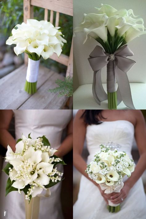 calla lily wedding bouquet ideas Calla Lily And Hydrangea Bouquet, White Filler Flowers Wedding, Calls Lily Wedding Bouquet, Single Lily Bouquet, Cala Lilly Wedding Bouquet White, Calalilly Bouquet Modern, Bridal Bouquet Calla Lily, Calla Wedding Bouquet, Wedding Bouquet Calla Lily