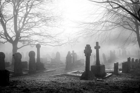 7 Spooky Trips to Take This Halloween Tombstone Pictures, Grave Yard, Whitby Abbey, Places In America, Most Haunted Places, Old Cemeteries, Most Haunted, Haunted Places, Winter Trees