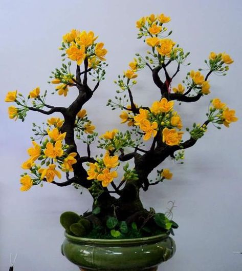 Aesthetic Bonsai, Flowering Bonsai, Bonsai Fruit Tree, Flowering Bonsai Tree, Arreglos Ikebana, Bonsai Tree Types, Bonsai Techniques, Bonsai Seeds, Bonsai Flower