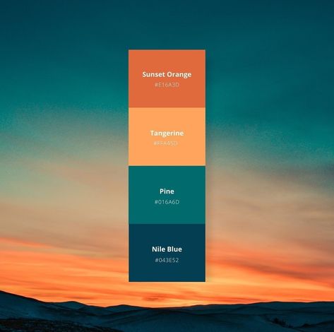 Rain Forest Color Palette, Bohemian Color Palette Moroccan Style, Air Color Palette, Desktop Asthetic, Color Palette With Orange, Blue Orange Color Palette, Square Nails Blue, Color Palette Orange, Orange Branding