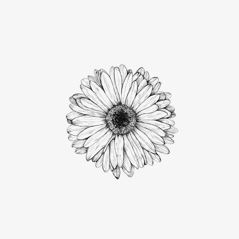 Calendula Flower Tattoo, Calendula Tattoo, Watercolor Tattoo Flower, Daisy Tattoo, Sunflower Tattoos, Flower Sketches, Sunflower Tattoo, Matching Tattoos, Minimal Tattoo