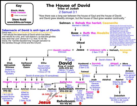 Divided kingdom and David's Civil war with the House of Saul ... Biblical Genealogy, Tabernacle Of David, Bible Genealogy, Bible Study Help, 2 Samuel, Bible History, Tribe Of Judah, King David, Bible Facts