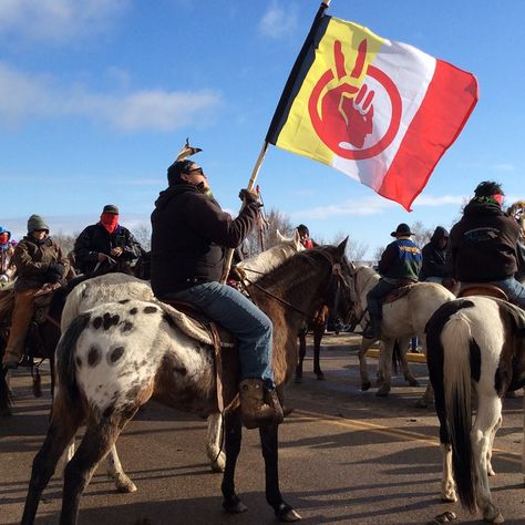 Of paramount concern is the threat the pipeline poses to drinking water. “The more concerning threat is what this pipeline WILL do to the environment. All pipelines break at some point in their lifetime. Pipelines spill their contents. And in some cases, pipelines explode.” Nicole Montclair-Donaghy (Lakota) From a two-year span starting in January 2012, North Dakota experienced over 300 oil spills and 750 “oil field incidents” Sioux Tribe, Native American Paintings, Native American Wisdom, Indian Reservation, Native American Pictures, Native American Photos, Standing Rock, Missouri River, Native American Peoples