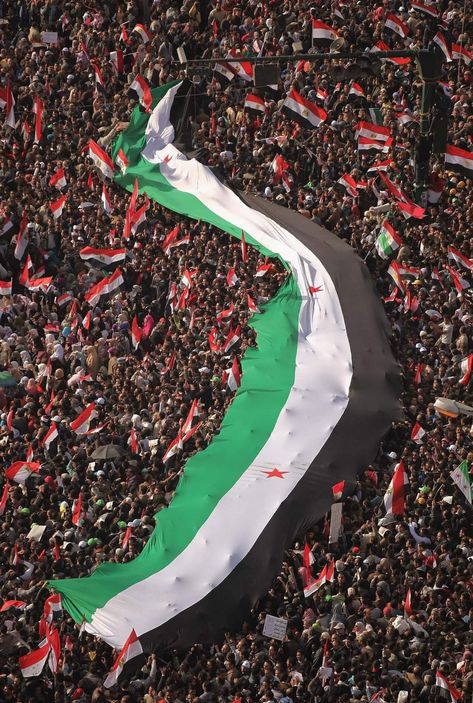 Human Amity, Syrian Revolution, Syria Pictures, Syrian Flag, Free Syria, Syria Flag, Awsome Pictures, Bad Girl Wallpaper, Tri Star