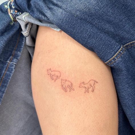 @divine.dust_ 99 And 1 Sheep Tattoo, Counting Sheep Tattoo, Cute Ram Tattoo, Small Lamb Tattoo, Baby Lamb Tattoo, Cutesie Tattoos, Lamb Tattoo Christian, Baby Goat Tattoo, Little Lamb Tattoo