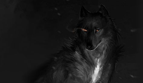 The wolf wallpaper Art Wolf Background Desktop, Wolf Wallpaper Laptop, Wolf Laptop Wallpaper, Wolf Pc Wallpaper, Wolf Wallpaper 1920x1080, Wolf Wallpaper Desktop, 2880x1800 Wallpaper, 4k Ultra Hd Wallpapers, Destop Wallpaper