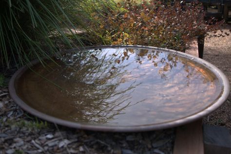 This copper bird bath is spun by a local metal spinner. It is wide and shallow so that it will occasionally dry out, inhibiting mosquito populations. $595 excluding delivery. I Large Bird Bath Ideas, Large Bird Baths, Copper Bird Bath, Metal Bird Bath, Bird Bath Bowl, Bird Bath Garden, Bird Baths, Copper Bowl, Water Fountains