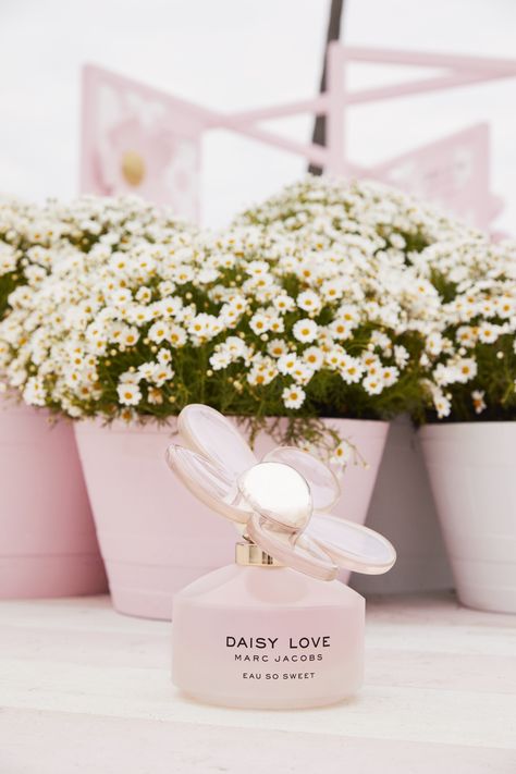 #DaisyLove #MJDaisy Daisy Aesthetic, Marc Jacobs Perfume, Tom Pastel, Marc Jacobs Daisy, Daisy Love, Favorite Scents, Perfume Collection, So Sweet, Film Photography