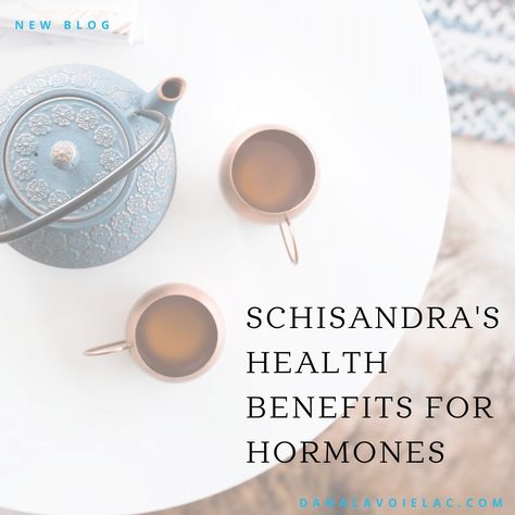 Schisandra Benefits, Schizandra Benefits, Herbs That Balance Hormones, Best Tea For Hormone Balance, Herb For Hormone Balance, Medicinal Tea Blends, Herbs To Balance Female Hormones, Hormone Tea Blend, Medicinal Tea