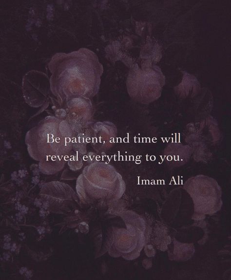 Imam Ali on Instagram: ““Be patient, and time will reveal everything to you.” -Imam Ali (AS) #imamali #ahlulbayt #quoteoftheday #time #reveal #patience #everything…” Shia Muslim, Beautiful Reminders, Imam Ali Quotes, Shia Islam, Things Take Time, Strong Faith, Lifestyle Motivation, Best Islamic Images, Hazrat Ali