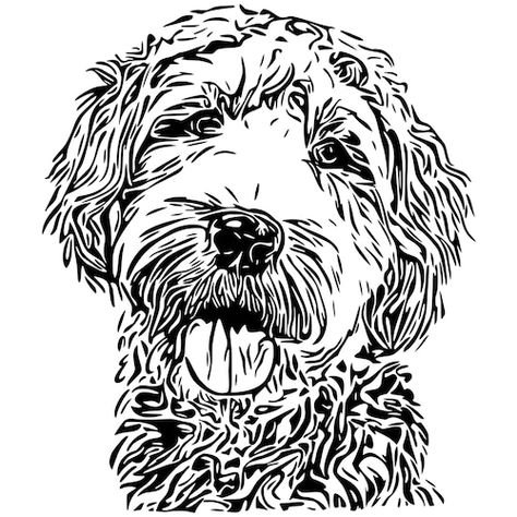 Labradoodle Svg, Dingo Puppy, Echidna Puggle, Labradoodle Drawing, Dogs Sketch, Scanncut Projects, Goldendoodle Black, Goldendoodle Art, Kangaroo Joey