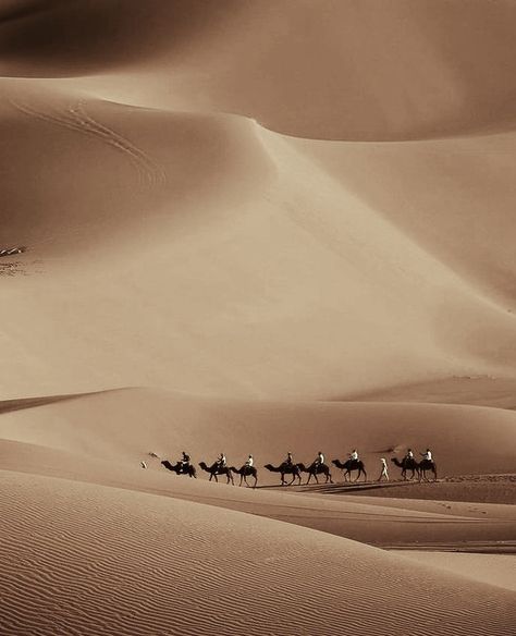 Arabian Peninsula Aesthetic, Saudi Desert Aesthetic, Beige Desert Aesthetic, African Desert Aesthetic, Egyptian Desert Aesthetic, Ancient Arabian Aesthetic, Sahara Desert Aesthetic, Bedouin Aesthetic, Arab Aethstetic