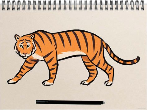 Tiger Drawing Illustration, Tiger Drawings Easy, Tiger Sketch Easy, Drawing Tiger Easy, Tiger Drawing Easy Step By Step, Easy Tiger Drawing Simple, How To Draw A Tiger Easy, Tiger Simple Drawing, Cute Tiger Drawing Easy