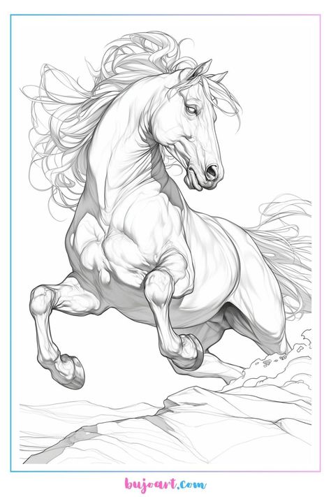 Drawing A Horse, Cai Arabi, Hilarious Animal Memes, Ahal Teke, Horse Tattoo Design, Horse Art Drawing, Horse Sketch, Horse Anatomy, Animal Illustration Art