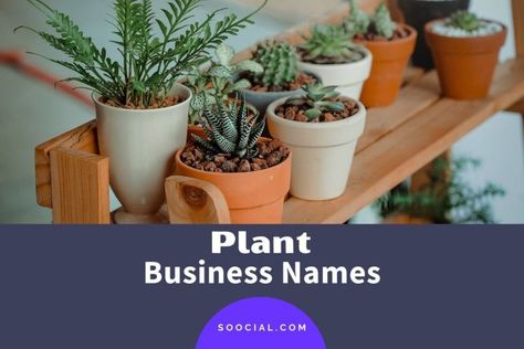 Names For Plant Business, Plant Business Name Ideas, Plant Shop Name Ideas, Plant Shop Names, Buisness Name Ideas, Hydro Plant, Store Names Ideas, Plant Business, Shop Name Ideas