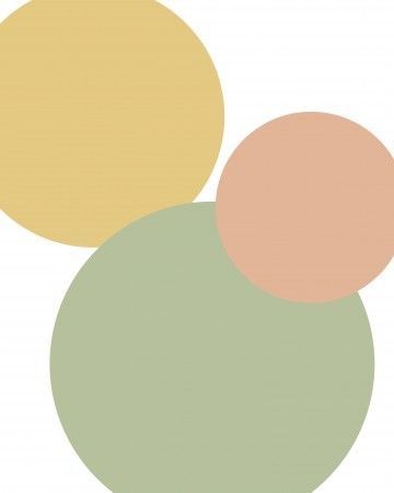 Mustard Yellow And Sage Green, Bathroom Decor Themes, Best Wedding Colors, Spring Palette, Desk In Living Room, College Room, Colorful Space, Grey Color Scheme, College Town