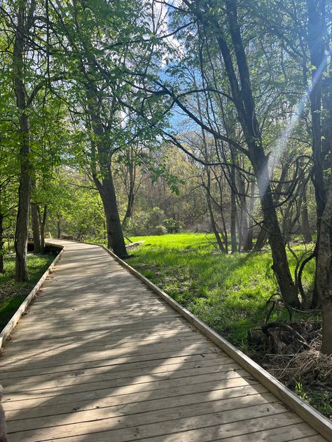 boardwalk woods forest woodland spring summer walk hike nature Board Walk, Pocket Park, Woods Forest, Walking In Nature, Mars, The Outsiders, Hiking, Forest, Spring Summer