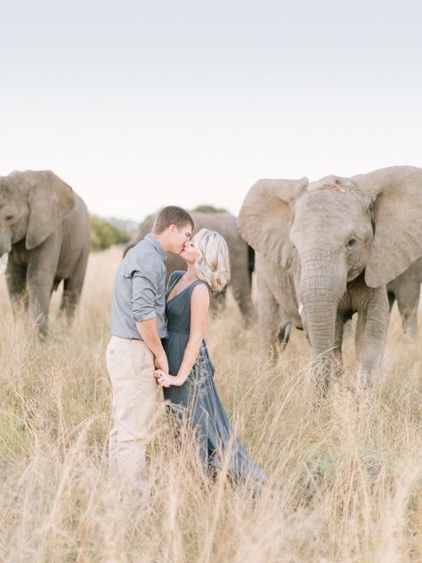 South African Safari, Luxury African Safari, Styled Engagement Shoot, Romantic Colors Palette, Safari Photography, Africa Wedding, Safari Wedding, Zoo Wedding, Disney Wedding Dresses