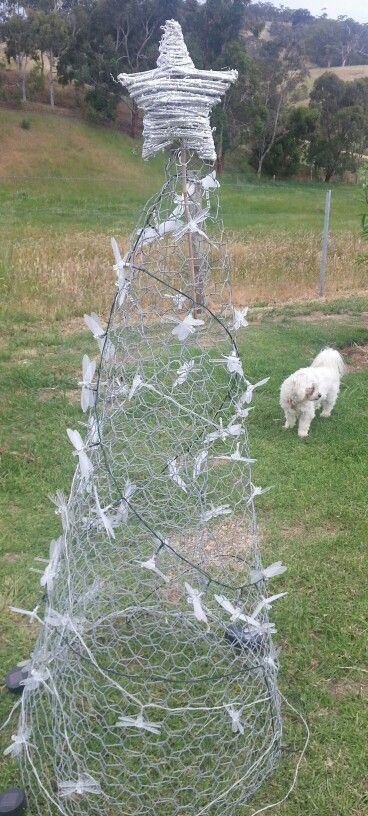 Chicken wire & solar lights Christmas tree. Lights Christmas Tree, Farm Store, Lights Christmas, Chicken Wire, Christmas Tree Lighting, Solar Lights, Solar, Christmas Tree, Chicken