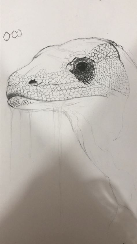 #art #sketch #komodo #dragon Komodo Dragon, Komodo, Sketch, Abstract Artwork, Art, Komodo Dragons