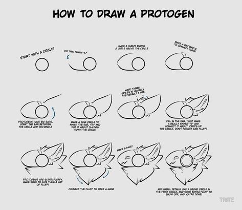 Cat Drawing Tutorial, Drawing Examples, Digital Art Beginner, Art Tools Drawing, Art Corner, Concept Art Drawing, Art Base, Art Tutorials Drawing, Art Drawings Sketches Simple