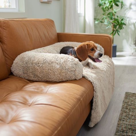 Pet couch cover