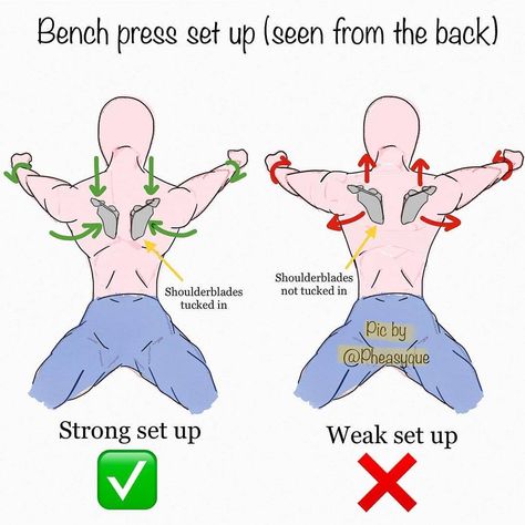 🚨 SHOULDER BLADE POSITION DURING BENCH PRESS 🚨  The bench press is an exercise that involves the chest (pectoralis major), front of the shoulders (anterior deltoid) and the triceps.  However, the shoulder blades have a very important role in stability and injury prevention in the bench press. Knowing how to properly move your shoulder blades along with your thoracic spine in the bench press will dramatically improve the lift!  Improper Bench Press Cues 💥 Shoulder blades are fully protracted ( Weight Training Programs, Bodybuilding Program, Online Personal Trainer, Gym Tips, Muscle Building Workouts, Workout Chart, Chest Workouts, Cardio Gym, Strong Motivation