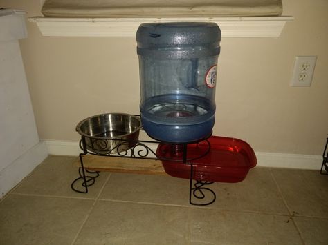 Dog Water Bowl, Pet Water Bowl, Dog Water Dispenser, Food Supplies, Dog Water Bowls, Dog Things, Dog Feeder, Water Bowl, Water Dispenser