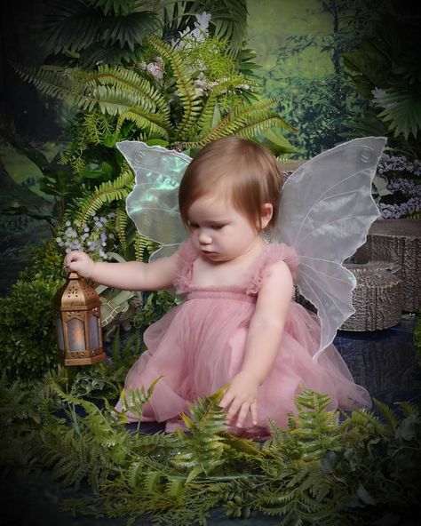 Fairy Photoshoot, Baby Birthday Themes, Theme Ideas, Baby Birthday, Birthday Theme, Birthday