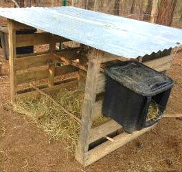 Wood Pallet Chicken Coop, Chicken Jungle Gym, Pallet Chicken Coop, Chicken Shelter, Cheap Chicken Coops, Chicken Coop Pallets, Chicken Houses, Portable Chicken Coop, Coop Design