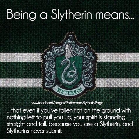 Slytherin Slytherin Quotes, Slytherin Wallpaper, Slytherin And Hufflepuff, Slytherin Pride, Harry Potter Spells, Harry Potter Puns, Slytherin Harry Potter, Slytherin House, Harry Potter Houses